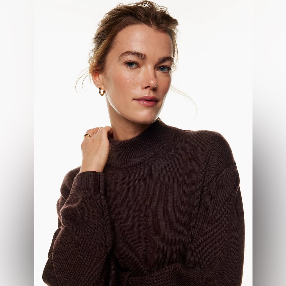 Aritzia Harper Sweater in Brown